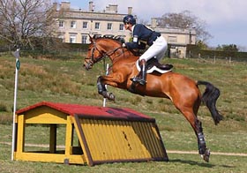 William Fox-Pitt                                                                